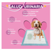 Suplemento para a saúde urinária de cães, 120 comprimidos sabor vitela - ajuda natural para o trato urinário e bexiga com, mirtilo vermelho, fonte de antioxidantes, vitaminas e minerais - PetDoctors - Loja Online