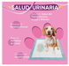 Suplemento para a saúde urinária de cães, 120 comprimidos sabor vitela - ajuda natural para o trato urinário e bexiga com, mirtilo vermelho, fonte de antioxidantes, vitaminas e minerais - PetDoctors - Loja Online