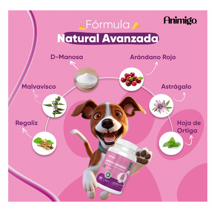 Suplemento para a saúde urinária de cães, 120 comprimidos sabor vitela - ajuda natural para o trato urinário e bexiga com, mirtilo vermelho, fonte de antioxidantes, vitaminas e minerais - PetDoctors - Loja Online