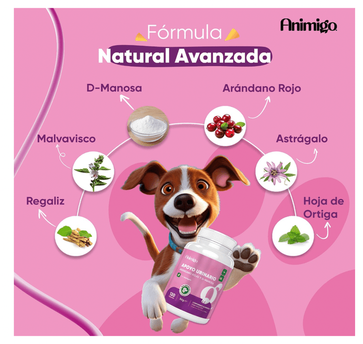 Suplemento para a saúde urinária de cães, 120 comprimidos sabor vitela - ajuda natural para o trato urinário e bexiga com, mirtilo vermelho, fonte de antioxidantes, vitaminas e minerais - PetDoctors - Loja Online