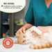 Suplemento para mau hálito e tártaro de cães e gatos - substituto escova de dentes - 100 % natural - Wolf Belly Bye Bye Plaque - PetDoctors - Loja Online