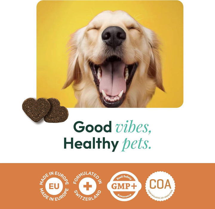 Suplemento para pele saudável e pelo brilhante para cães - Minimiza comichão - Com biotina, zinco, L - tirosina, vitaminas A e E, linhaça (100 biscoitos, 300 gr) - PetDoctors - Loja Online