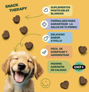 Suplemento para pele saudável e pelo brilhante para cães - Minimiza comichão - Com biotina, zinco, L - tirosina, vitaminas A e E, linhaça (100 biscoitos, 300 gr) - PetDoctors - Loja Online
