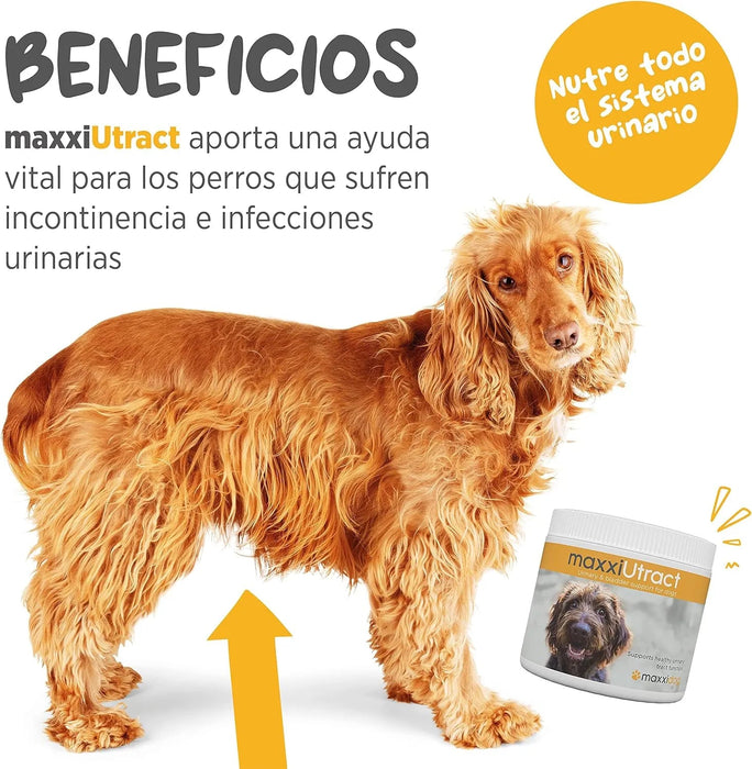 Suplemento urinário e vesical para cães maxxiUtract - ajuda à saúde do sistema urinário, controlo da bexiga e recorrência de ITU - com mirtilos - em pó 150 gr - PetDoctors - Loja Online