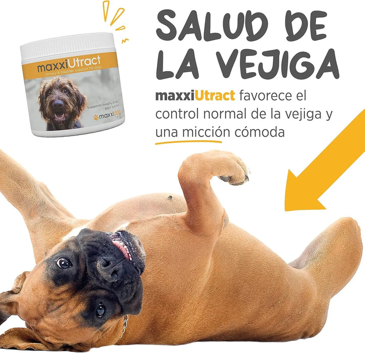Suplemento urinário e vesical para cães maxxiUtract - ajuda à saúde do sistema urinário, controlo da bexiga e recorrência de ITU - com mirtilos - em pó 150 gr - PetDoctors - Loja Online