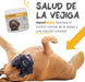 Suplemento urinário e vesical para cães maxxiUtract - ajuda à saúde do sistema urinário, controlo da bexiga e recorrência de ITU - com mirtilos - em pó 150 gr - PetDoctors - Loja Online