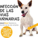 Suplemento urinário e vesical para cães maxxiUtract - ajuda à saúde do sistema urinário, controlo da bexiga e recorrência de ITU - com mirtilos - em pó 150 gr - PetDoctors - Loja Online