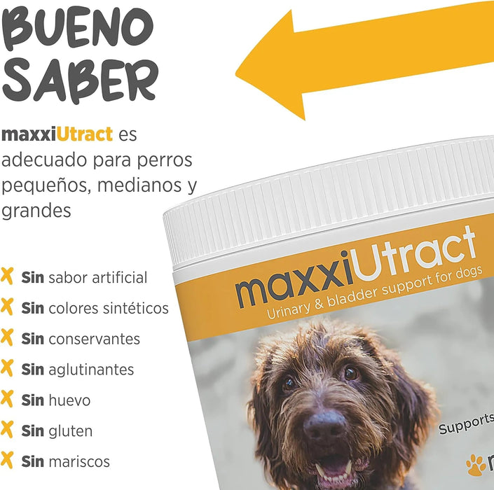 Suplemento urinário e vesical para cães maxxiUtract - ajuda à saúde do sistema urinário, controlo da bexiga e recorrência de ITU - com mirtilos - em pó 150 gr - PetDoctors - Loja Online