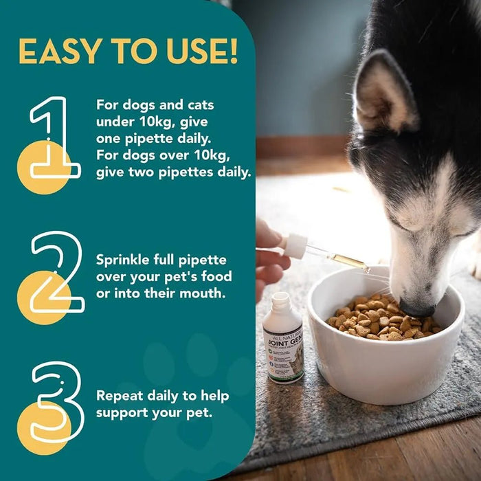 Suplementos para Articulações de cães e gatos - 100 Porções - Suplemento Natural Líquidos para articulação canina de ação rápida para cães idosos - PetDoctors - Loja Online