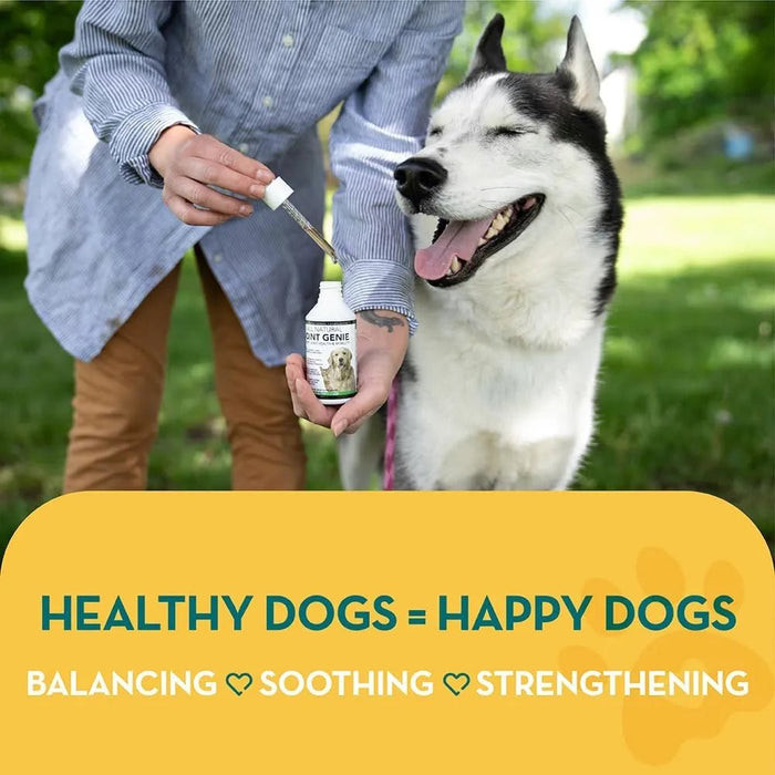 Suplementos para Articulações de cães e gatos - 100 Porções - Suplemento Natural Líquidos para articulação canina de ação rápida para cães idosos - PetDoctors - Loja Online