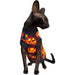 T-shirt Luciano's Halloween para Gato Sphynx - PetDoctors - Loja Online