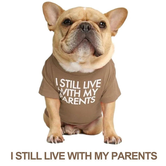T-shirt para Cães - PetDoctors - Loja Online