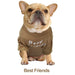 T-shirt para Cães - PetDoctors - Loja Online