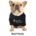 T-shirt para Cães - PetDoctors - Loja Online