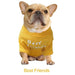 T-shirt para Cães - PetDoctors - Loja Online