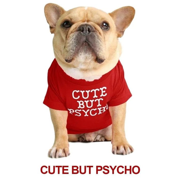 T-shirt para Cães - PetDoctors - Loja Online