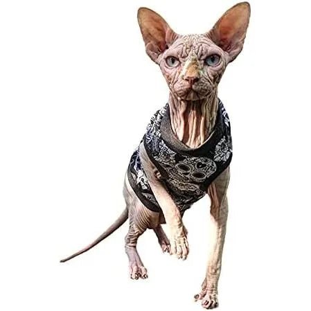 T-shirt Sculls para Gato Sphynx - PetDoctors - Loja Online