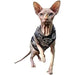 T-shirt Sculls para Gato Sphynx - PetDoctors - Loja Online