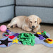 Tapete / Brinquedo Interativo de treino para cães - PetDoctors - Loja Online