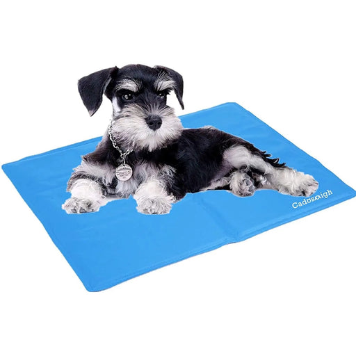 Tapete de Refrigeração para Cães ❤️🐶❤️ - PetDoctors - Loja Online