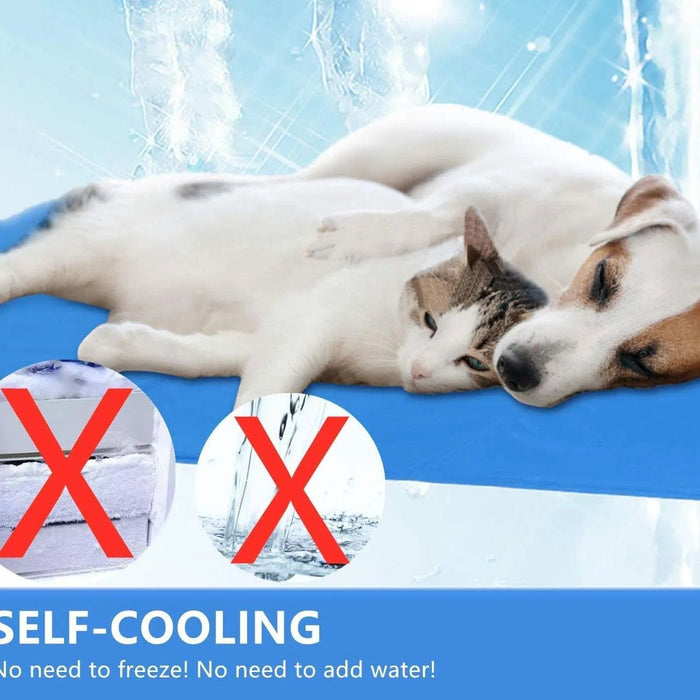 Tapete de Refrigeração para Cães ❤️🐶❤️ - PetDoctors - Loja Online