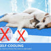 Tapete de Refrigeração para Cães ❤️🐶❤️ - PetDoctors - Loja Online