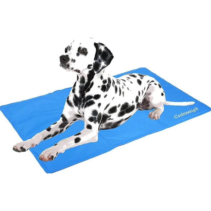 Tapete de Refrigeração para Cães ❤️🐶❤️ - PetDoctors - Loja Online