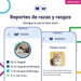Teste ADN / DNA para Gatos - 150+ Relatórios de Raça, Saúde e Traços Físicos - PetDoctors - Loja Online