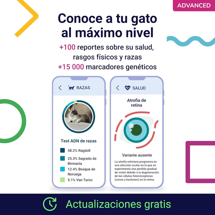 Teste ADN / DNA para Gatos - 150+ Relatórios de Raça, Saúde e Traços Físicos - PetDoctors - Loja Online