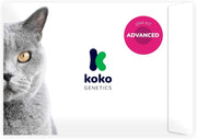 Teste ADN / DNA para Gatos - 150+ Relatórios de Raça, Saúde e Traços Físicos - PetDoctors - Loja Online