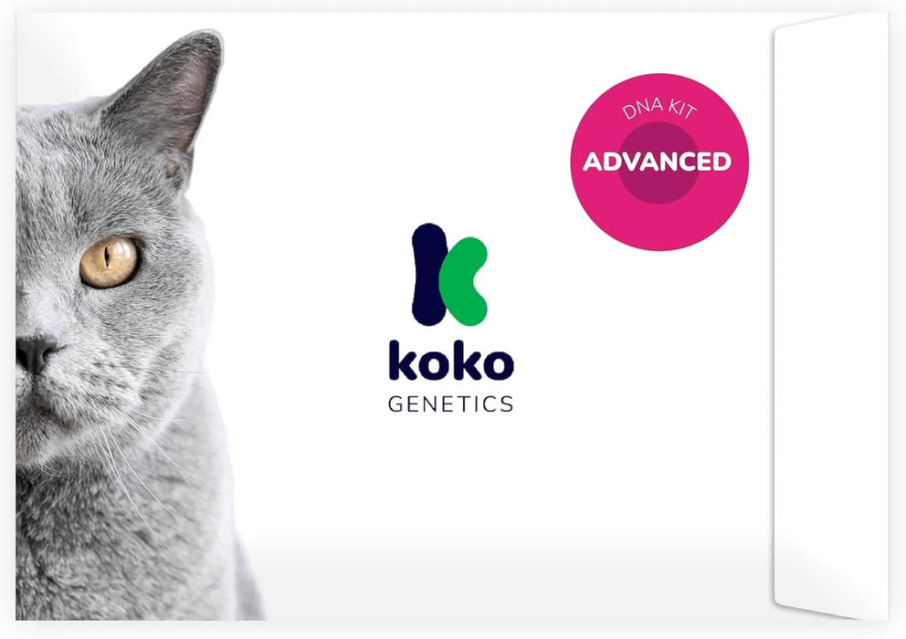Teste ADN / DNA para Gatos - 150+ Relatórios de Raça, Saúde e Traços Físicos - PetDoctors - Loja Online