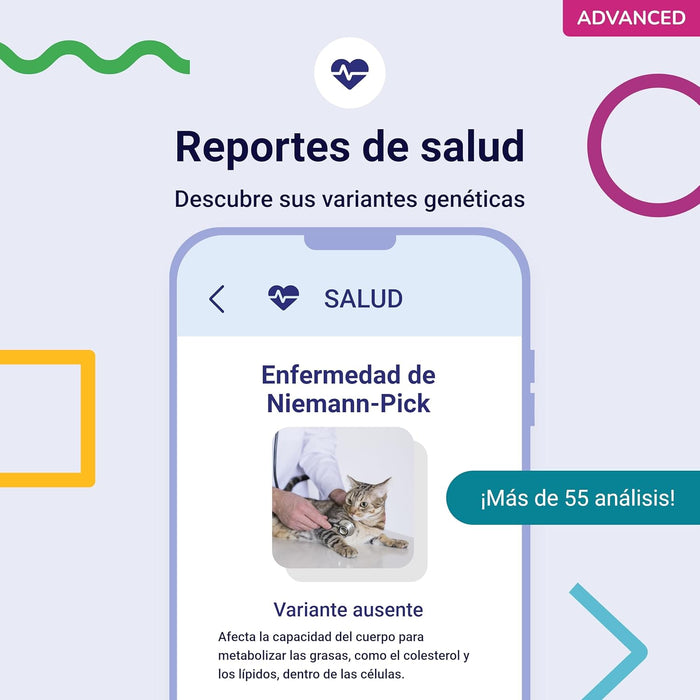 Teste ADN / DNA para Gatos - 150+ Relatórios de Raça, Saúde e Traços Físicos - PetDoctors - Loja Online