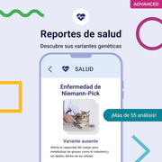 Teste ADN / DNA para Gatos - 150+ Relatórios de Raça, Saúde e Traços Físicos - PetDoctors - Loja Online