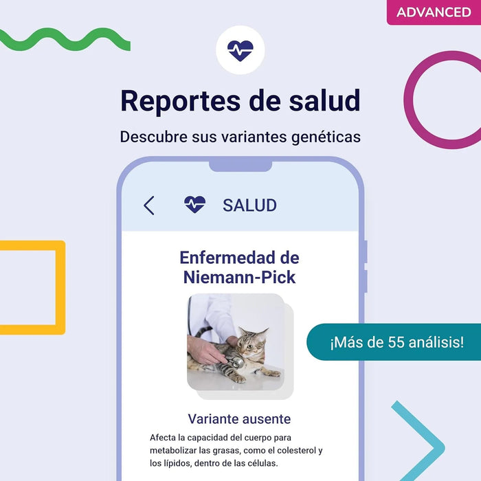 Teste ADN / DNA para Gatos - 150+ Relatórios de Raça, Saúde e Traços Físicos - PetDoctors - Loja Online