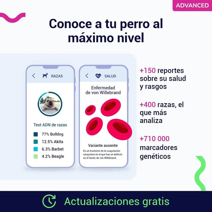 Teste DNA para Cães Advanced - (+ 150 relatórios de corrida, saúde e traços) - atualizações sem custo - PetDoctors - Loja Online