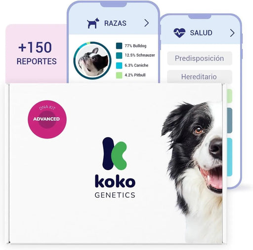 Teste DNA para Cães Advanced - (+ 150 relatórios de corrida, saúde e traços) - atualizações sem custo - PetDoctors - Loja Online