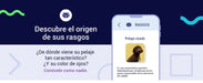 Teste DNA para Cães Advanced - (+ 150 relatórios de corrida, saúde e traços) - atualizações sem custo - PetDoctors - Loja Online