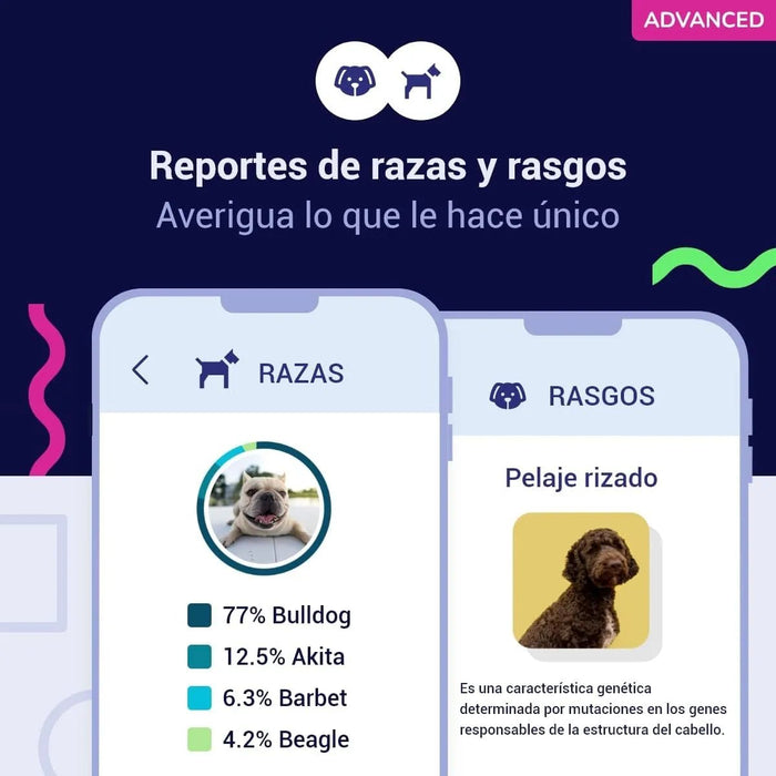 Teste DNA para Cães Advanced - (+ 150 relatórios de corrida, saúde e traços) - atualizações sem custo - PetDoctors - Loja Online