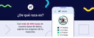Teste DNA para Cães Advanced - (+ 150 relatórios de corrida, saúde e traços) - atualizações sem custo - PetDoctors - Loja Online