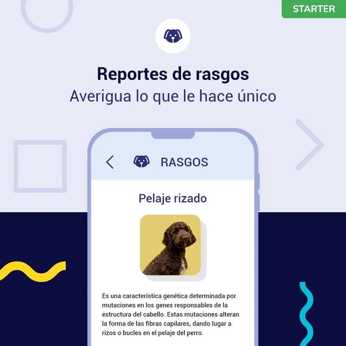 Teste DNA para Cães Starter - (Relatórios de raças e características) - atualizações sem custo - PetDoctors - Loja Online