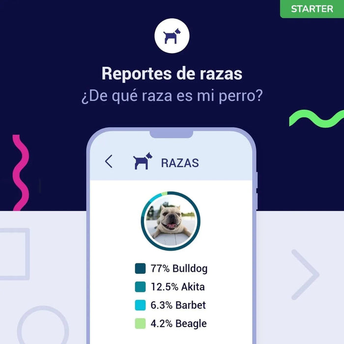 Teste DNA para Cães Starter - (Relatórios de raças e características) - atualizações sem custo - PetDoctors - Loja Online