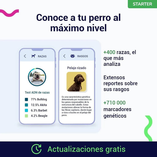 Teste DNA para Cães Starter - (Relatórios de raças e características) - atualizações sem custo - PetDoctors - Loja Online
