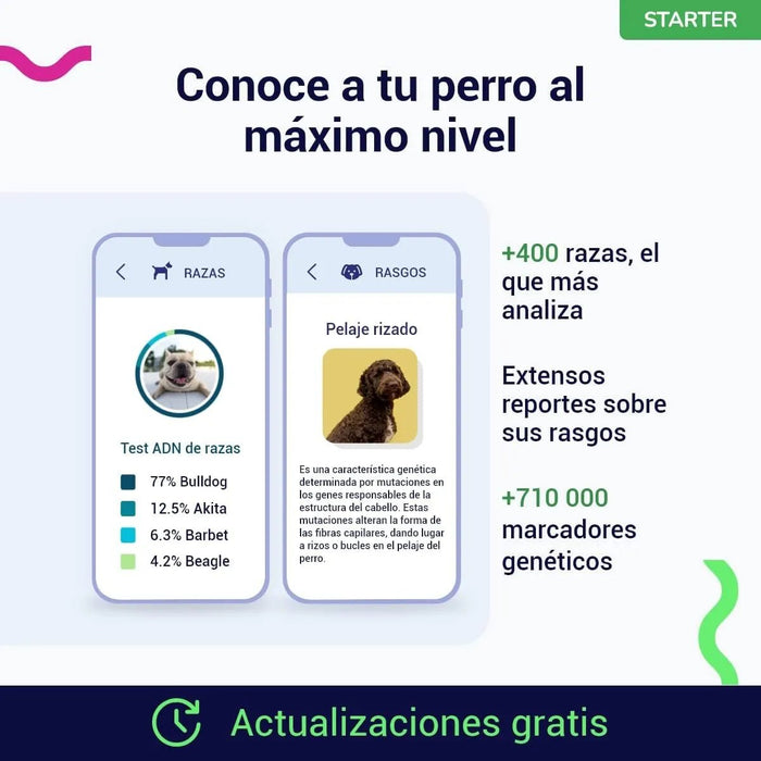Teste DNA para Cães Starter - (Relatórios de raças e características) - atualizações sem custo - PetDoctors - Loja Online