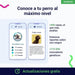 Teste DNA para Cães Starter - (Relatórios de raças e características) - atualizações sem custo - PetDoctors - Loja Online