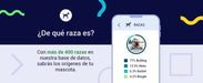Teste DNA para Cães Starter - (Relatórios de raças e características) - atualizações sem custo - PetDoctors - Loja Online
