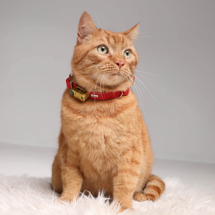 Tickless Cat Gold - Repelente Ultrasónico de Carraças e Pulgas - Para Gatos - Recarregável - PetDoctors - Loja Online