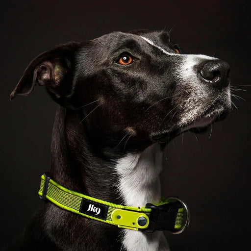 Tickless & Coleira JK9 - Repelente de Pulgas e Carraças Ultrasónico - Recarregável - Verde Néon - PetDoctors - Loja Online