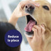 Toalhetes de limpeza de dentes para cães - caixas de dedos para uma limpeza prática e eficaz, cuidado dentário, higiene bucal - ajuda contra o mau hálito - PetDoctors - Loja Online