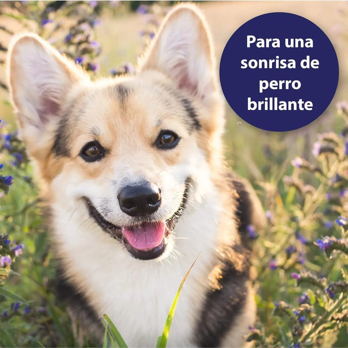 Toalhetes de limpeza de dentes para cães - caixas de dedos para uma limpeza prática e eficaz, cuidado dentário, higiene bucal - ajuda contra o mau hálito - PetDoctors - Loja Online