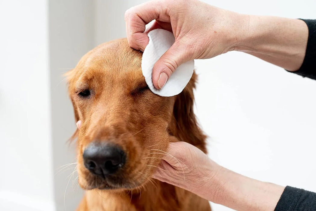 Toalhetes de olhos com aloé vera para limpar cães e gatos, extra grandes - PetDoctors - Loja Online